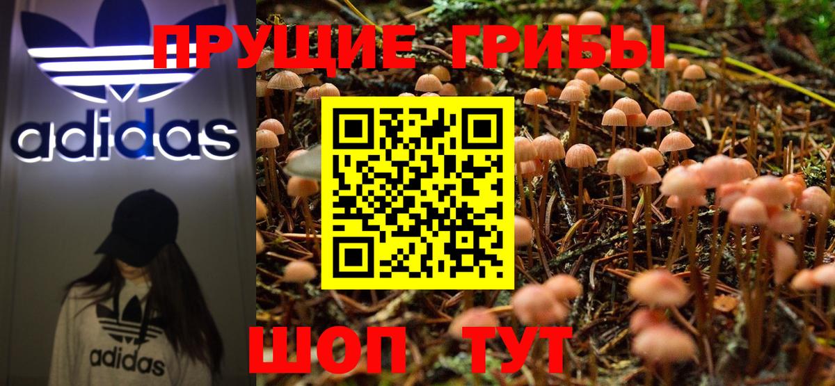 Псилоцибиновые грибы прущие грибы  Псилоцибиновые грибы Cubensis  Вход с VPN  Черняховск 