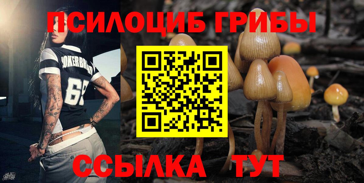 Псилоцибиновые грибы MAGIC MUSHROOMS Черняховск